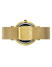 Load image into Gallery viewer, Aurora Milanese 38mm Gold White
